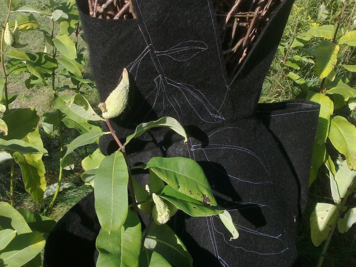 A Seed, Inside a Heart, Inside a Dress, Inside a Grave, Inside a Shelter, Inside&nbsp;Water